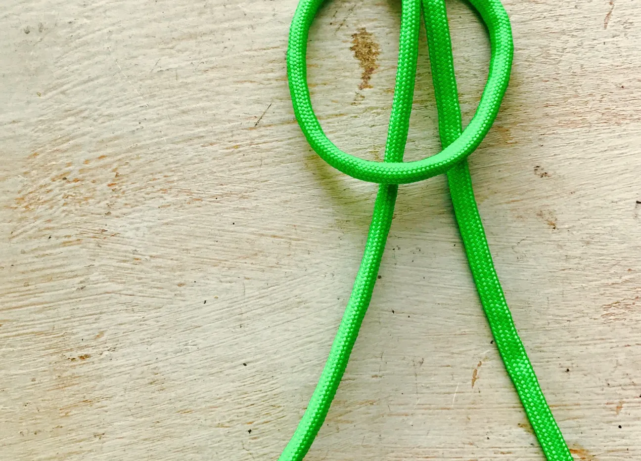 DIY with Irene: Dog Collars