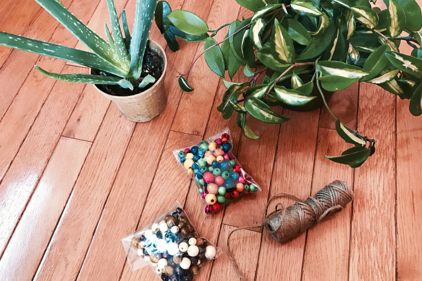 How to Hang Your Plants Like A (Gardening) Boss