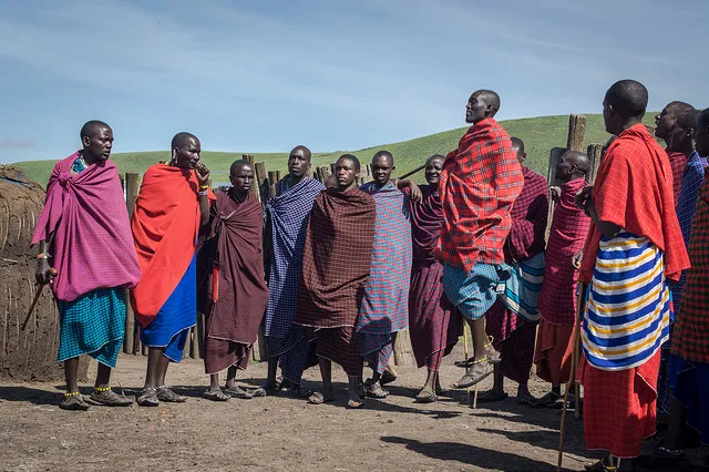 Postcards from the African Plains: A Safari through Ngorongoro Crater